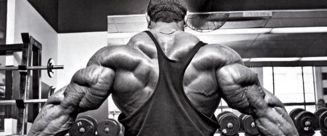 ROELLY